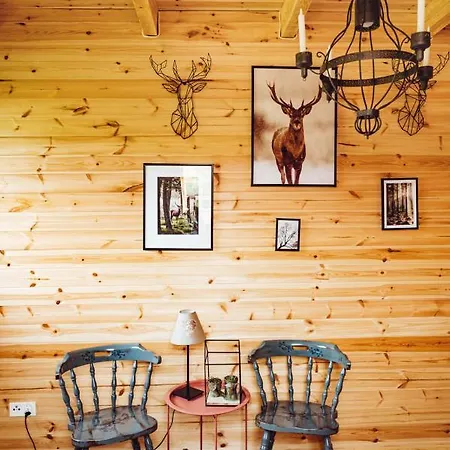 Obok Dziadka W Okolicy Czarnej Góry Villa Stary Gieraltow