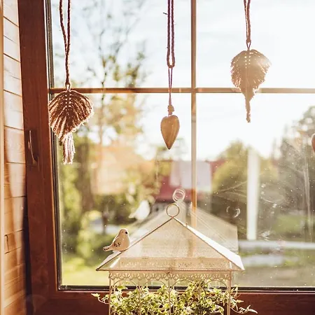 Obok Dziadka W Okolicy Czarnej Góry *