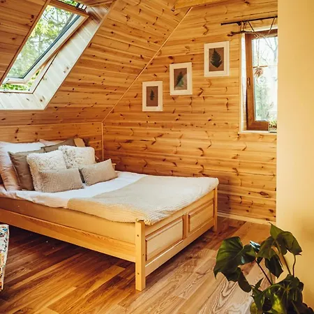 Obok Dziadka W Okolicy Czarnej Góry Villa