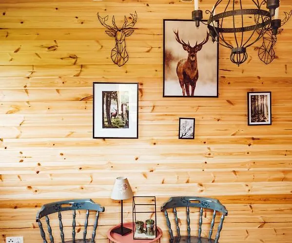 Obok Dziadka W Okolicy Czarnej Gory Βίλα Stary Gieraltow