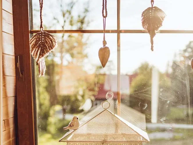 Obok Dziadka W Okolicy Czarnej Gory *