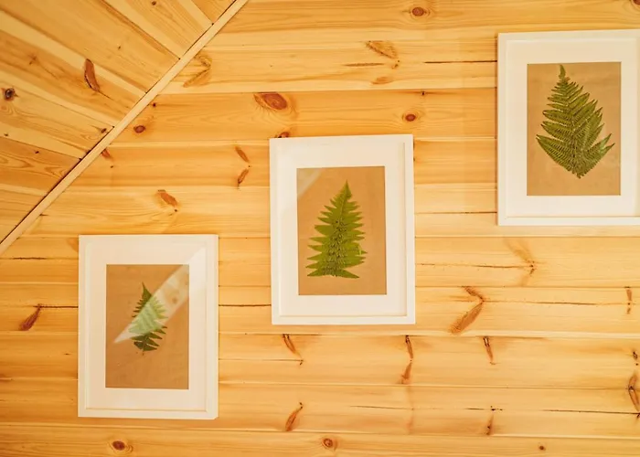 Obok Dziadka W Okolicy Czarnej Gory Stary Gieraltow