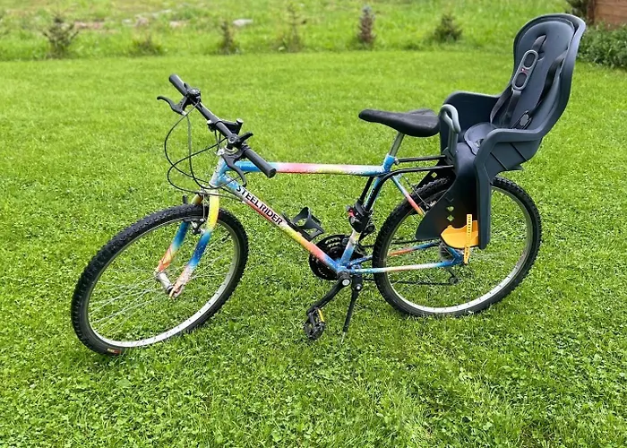 Obok Dziadka W Okolicy Czarnej Gory *