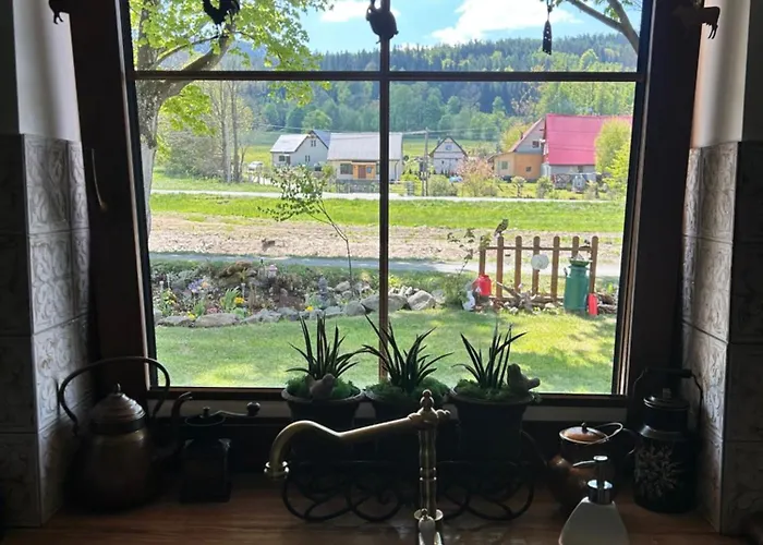 Obok Dziadka W Okolicy Czarnej Gory *